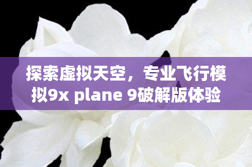 专业飞行模拟9x plane 9破解版体验图片