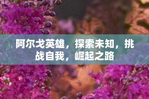 阿尔戈英雄图片