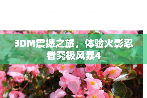 体验火影忍者究极风暴4图片