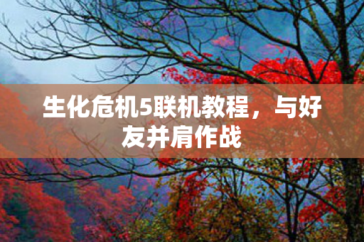 生化危机5联机教程图片