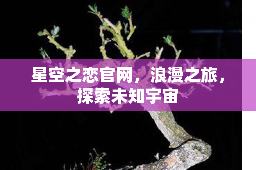 星空之恋官网,浪漫之旅,探索未知宇宙 星空之恋官网,浪漫之旅,探索未知宇宙