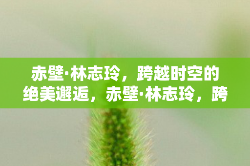 跨越时空的绝美邂逅图片