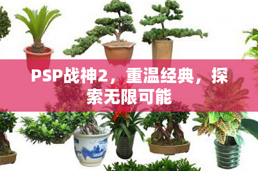 PSP战神2,重温经典,探索无限可能 PSP战神2,重温经典,探索无限可能