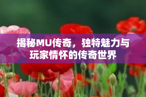 独特魅力与玩家情怀的传奇世界图片