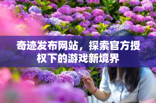 探索官方授权下的游戏新境界图片