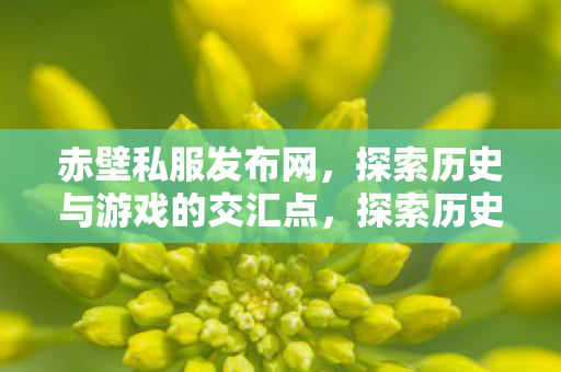 探索历史与游戏的交汇点图片