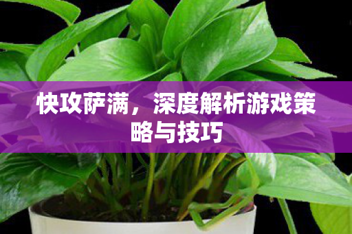 快攻萨满,深度解析游戏策略与技巧 快攻萨满,深度解析游戏策略与技巧