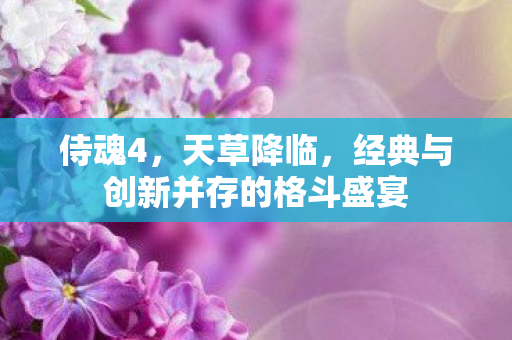 侍魂4,天草降临,经典与创新并存的格斗盛宴 侍魂4,天草降临,经典与创新并存的格斗盛宴