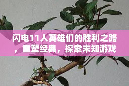 闪电11人英雄们的胜利之路图片