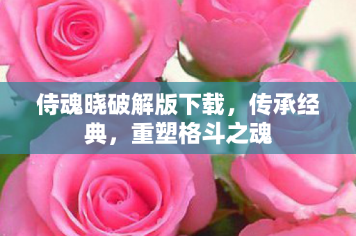 侍魂晓破解版下载图片