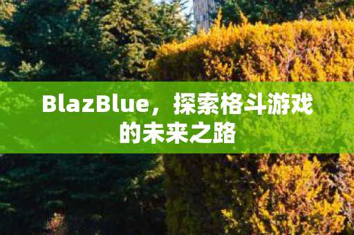 探索格斗游戏的未来之路图片