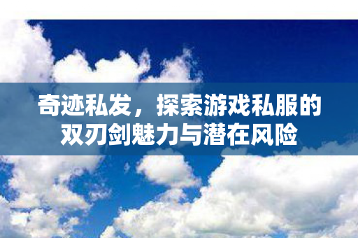 探索游戏私服的双刃剑魅力与潜在风险图片