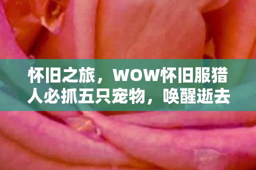怀旧之旅,WOW怀旧服猎人必抓五只宠物,唤醒逝去的青春 怀旧之旅,WOW怀旧服猎人必抓五只宠物,唤醒逝去的青春