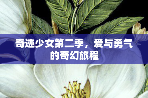 爱与勇气的奇幻旅程图片