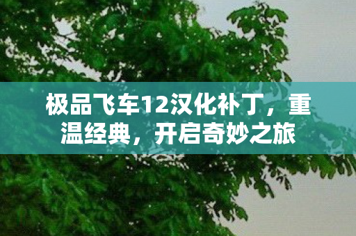 极品飞车12汉化补丁图片