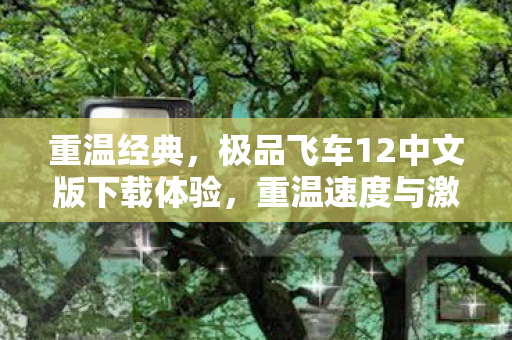极品飞车12中文版下载体验图片