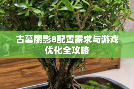 古墓丽影8配置需求与游戏优化全攻略图片