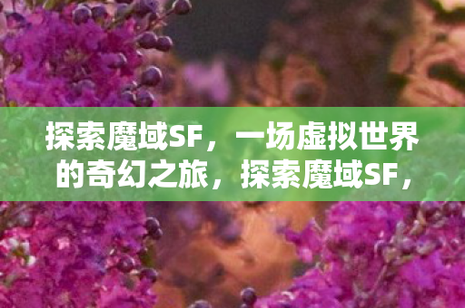 一场虚拟世界的奇幻之旅图片