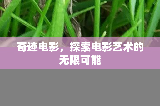 探索电影艺术的无限可能图片