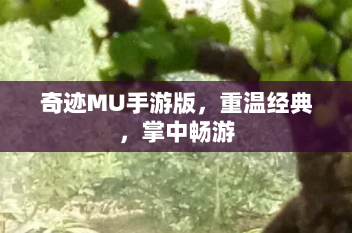奇迹MU手游版图片