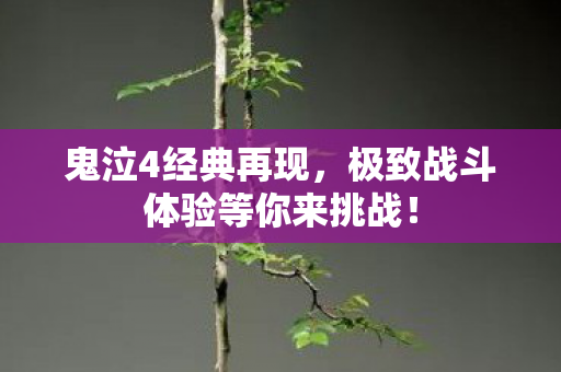 鬼泣4经典再现,极致战斗体验等你来挑战! 鬼泣4经典再现,极致战斗体验等你来挑战!