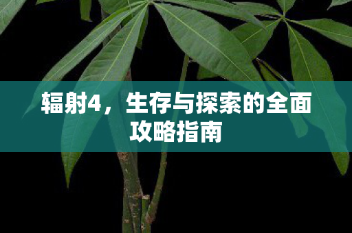 生存与探索的全面攻略指南图片