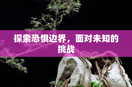 面对未知的挑战图片