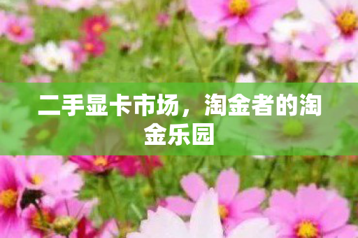 淘金者的淘金乐园图片