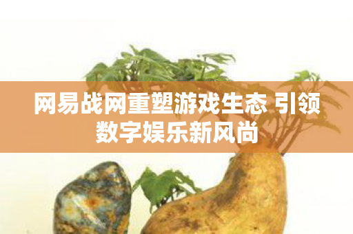网易战网重塑游戏生态 引领数字娱乐新风尚图片