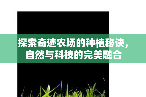 探索奇迹农场的种植秘诀图片