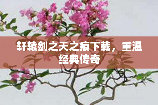 轩辕剑之天之痕下载，重温经典传奇