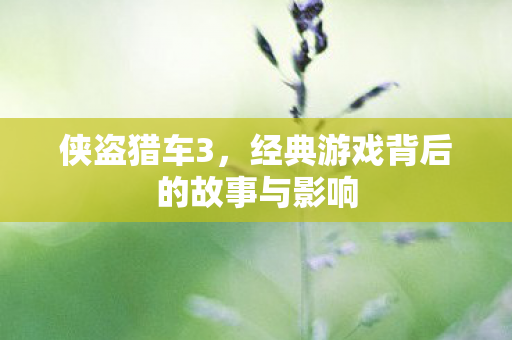 侠盗猎车3,经典游戏背后的故事与影响 侠盗猎车3,经典游戏背后的故事与影响