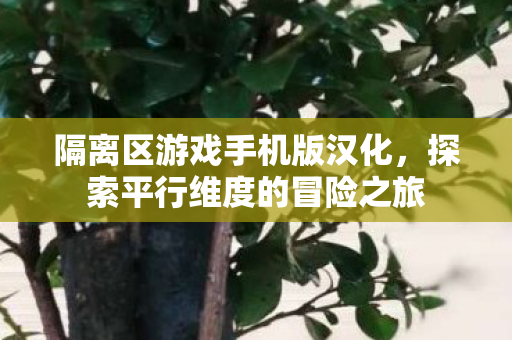 探索平行维度的冒险之旅图片