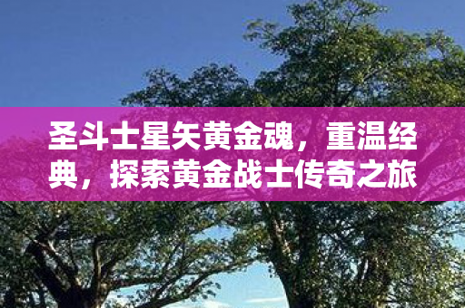 探索黄金战士传奇之旅图片