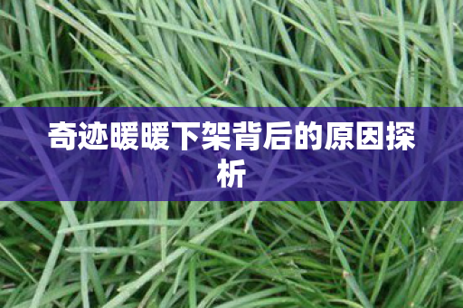 奇迹暖暖下架背后的原因探析图片