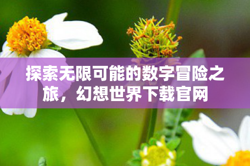 探索无限可能的数字冒险之旅,幻想世界下载官网 探索无限可能的数字冒险之旅,幻想世界下载官网