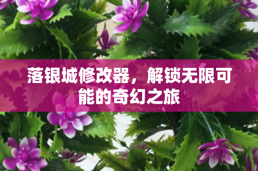 落银城修改器,解锁无限可能的奇幻之旅 落银城修改器,解锁无限可能的奇幻之旅