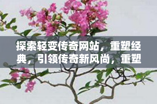 重塑经典引领传奇新风尚图片