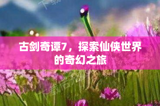 探索仙侠世界的奇幻之旅图片