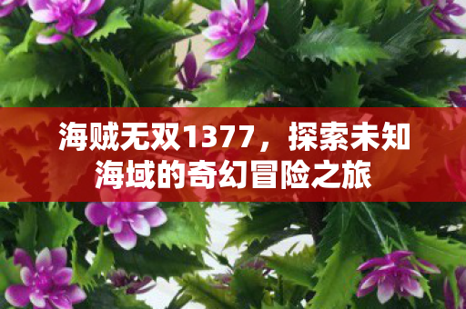 探索未知海域的奇幻冒险之旅图片