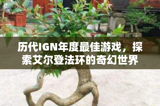 历代IGN年度最佳游戏,探索艾尔登法环的奇幻世界 历代IGN年度最佳游戏,探索艾尔登法环的奇幻世界
