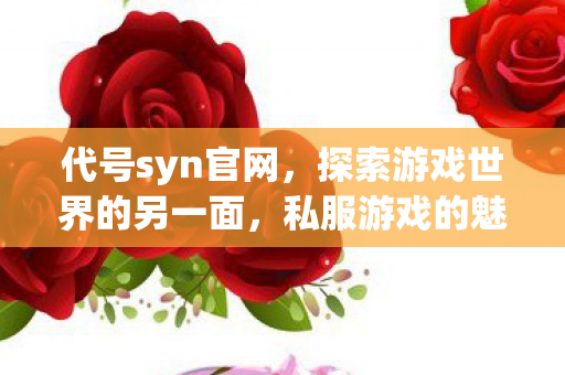 代号syn官网,探索游戏世界的另一面,私服游戏的魅力与争议 代号syn官网,探索游戏世界的另一面,私服游戏的魅力与争议