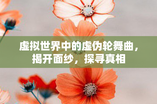 虚拟世界中的虚伪轮舞曲图片