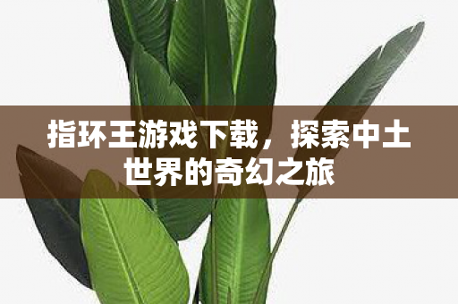 探索中土世界的奇幻之旅图片
