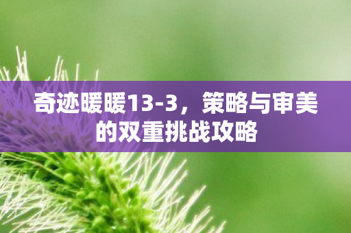 策略与审美的双重挑战攻略图片