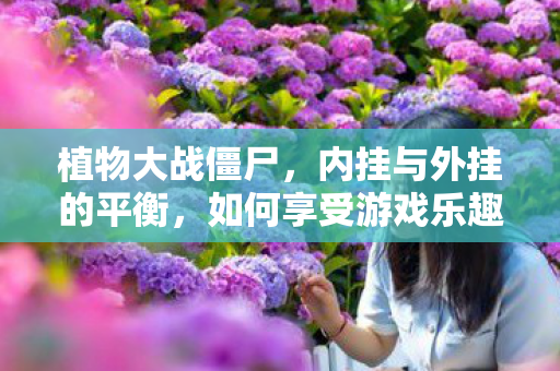 内挂与外挂的平衡图片