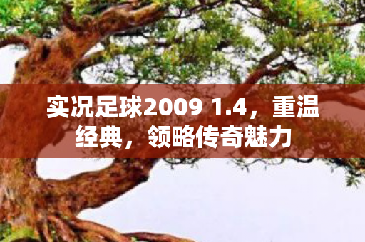 实况足球2009 1图片