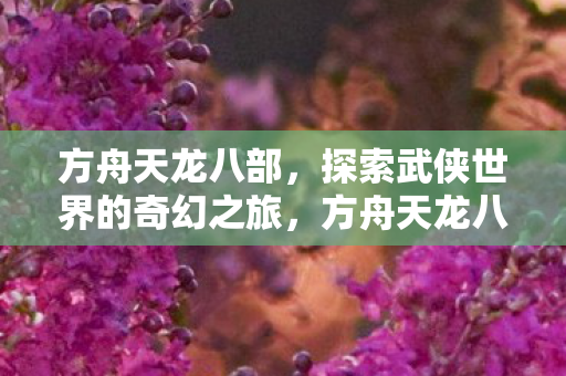 探索武侠世界的奇幻之旅图片