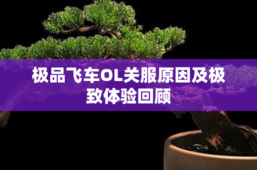 极品飞车OL关服原因及极致体验回顾 极品飞车OL关服原因及极致体验回顾