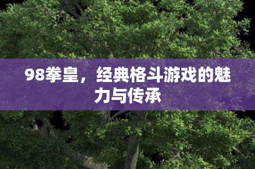 经典格斗游戏的魅力与传承图片